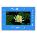 Yellow Water Lily cards