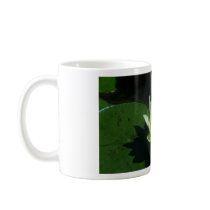 Yellow Water Lily mugs by codfishlady Yellow Water Lily mugs