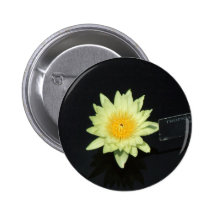 Yellow Water Lily Pinback Buttons