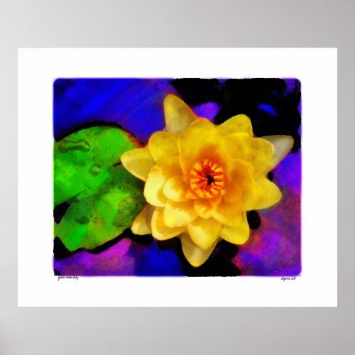 Yellow Water Lily , print print