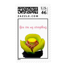 Yellow Water Lily Stamps