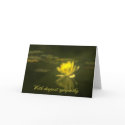 Yellow Waterlily Condolence Card