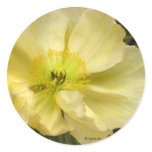 Yellow Wedding Flowers Invitation Seals Round Stickers