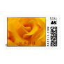 Yellow Wedding Rose RSVP