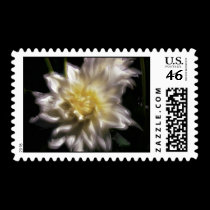 Yellow/white flower stamps