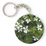 Yellow White Violet (Viola Canadensis) flowers Key Chain