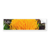 Yellow Wild Mushroom bumper stickers