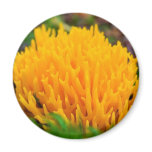 Yellow Wild Mushroom Refrigerator Magnets