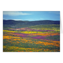 Yellow Wildflower field flowers Greeting Cards