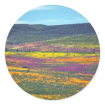 Yellow Wildflower field flowers Stickers