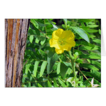 Yellow Wildflower Greeting Card cards