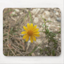 Yellow wildflower. mousepads