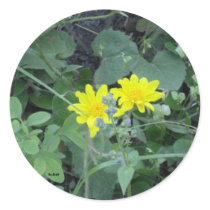 Yellow wildflower sticker