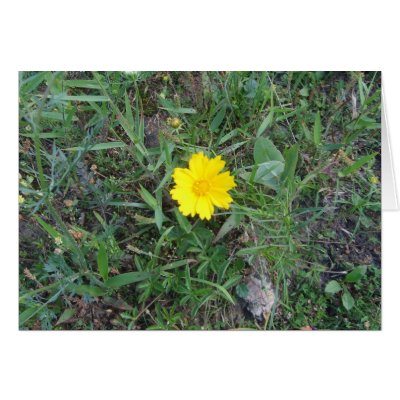 yellow wildflowers greeting card by jes_n_ash