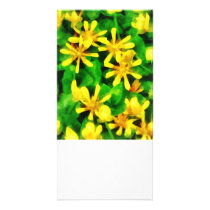 Yellow Wildflowers photo cards