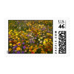 Yellow Wildflowers flowers Stamp