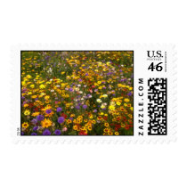 Yellow Wildflowers flowers stamps