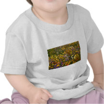 Yellow Wildflowers flowers Tee Shirts