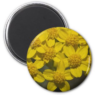 Yellow Wildflowers Fridge Magnets