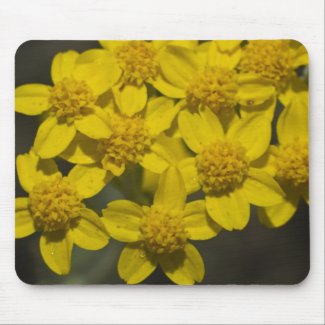 Yellow Wildflowers Mouse Pads