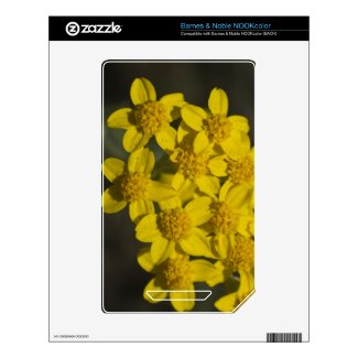 Yellow Wildflowers Nook Color Decal