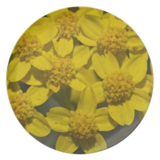 Yellow Wildflowers Party Plate
