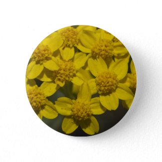 Yellow Wildflowers Pin