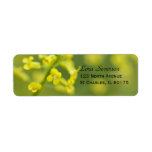 Yellow Wildflowers Return Address Label