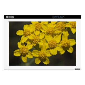 Yellow Wildflowers Skin For Laptop