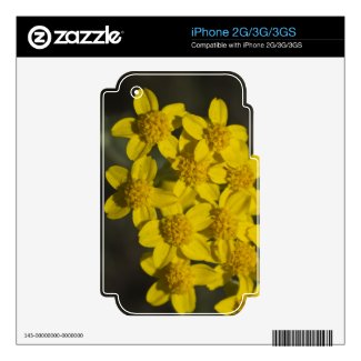 Yellow Wildflowers Skin For The Iphone 3gs