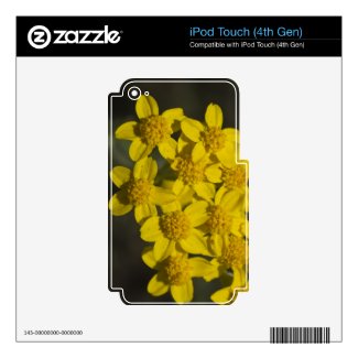 Yellow Wildflowers Skins For Ipod Touch 4g