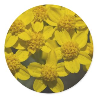 Yellow Wildflowers Sticker