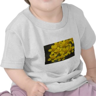 Yellow Wildflowers Tshirt