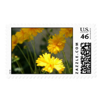Yellow Wildflowers US Postage Stamp