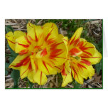 Yellow with Red Striped Flower Card