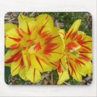 Yellow with Red Striped Flower mousepad