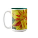Yellow with Red Striped Flower