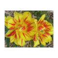 Yellow with Red Striped Flower postcard