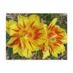 Yellow with Red Striped Flower Postcard