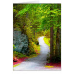 Yellow Woods Greeting Card