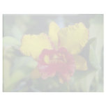 yellow Ya Melinda Wheeler (Brassocattleya) flowers letterhead