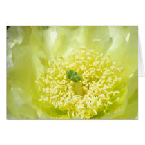 Yellow Yellow Cactus cards by mlane53 Yellow Yellow Cactus cards