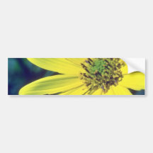 yellow Yellow Daisy flowers Bumper Stickers