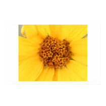 Yellow Yellow posters