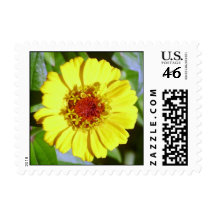 Yellow Zinnia Stamps