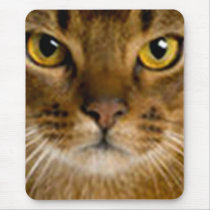 Yellowcat mousepads
