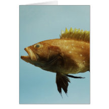 Yellowedge Grouper Greeting Cards