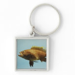 Yellowedge Grouper Key Chain