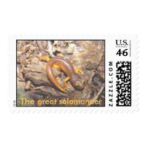 yelloweyesalamander, The great salamander postage by Blueluver yelloweyesalamander, The great salamander postage
