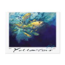 "Yellowfins" postcards by savlen "Yellowfins" postcards